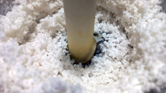 Coconut
