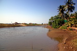 Goa