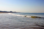 Goa