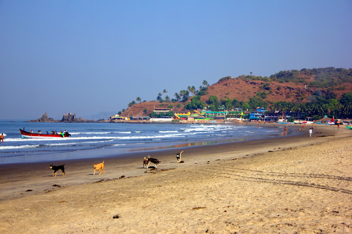Goa