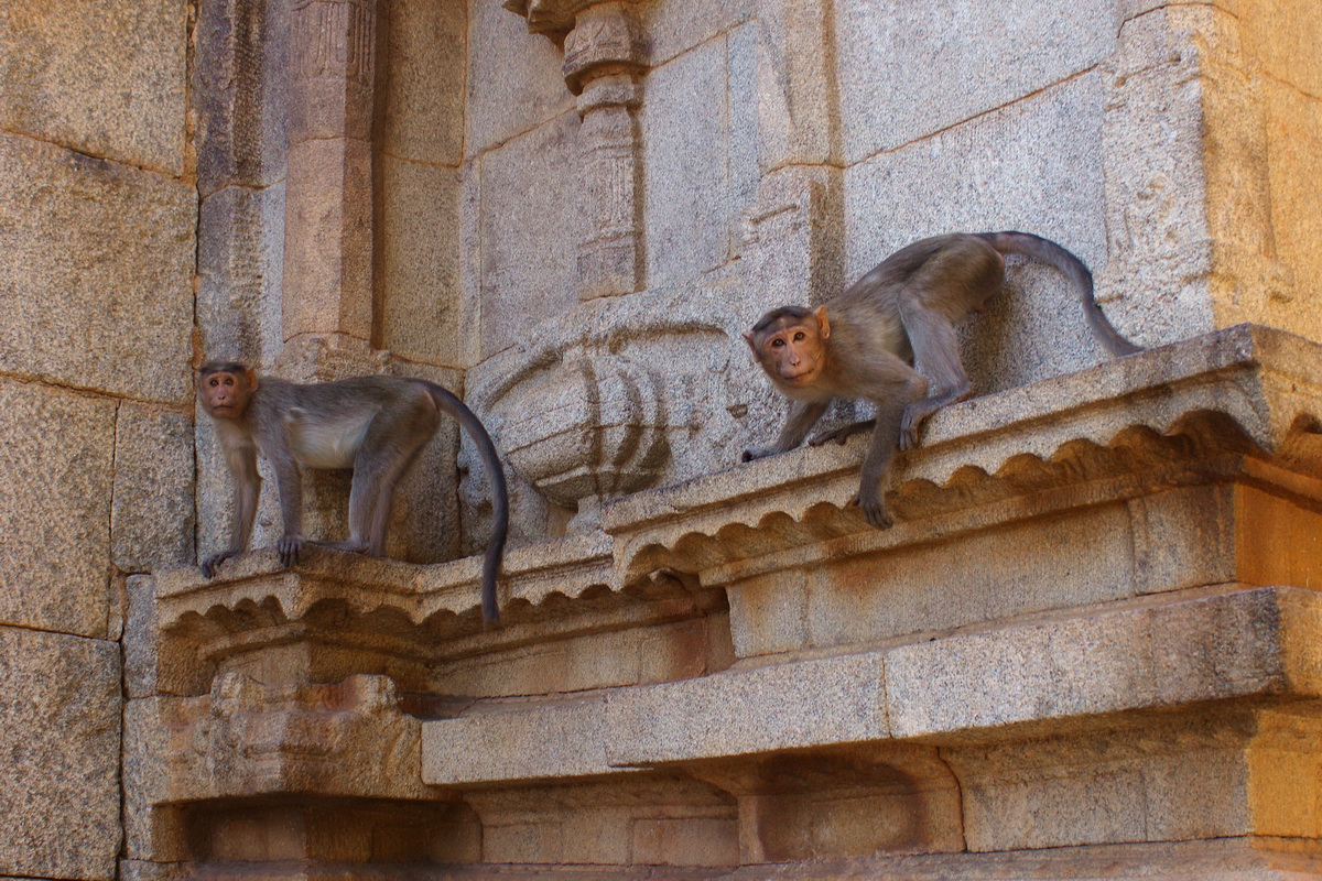 Hampi