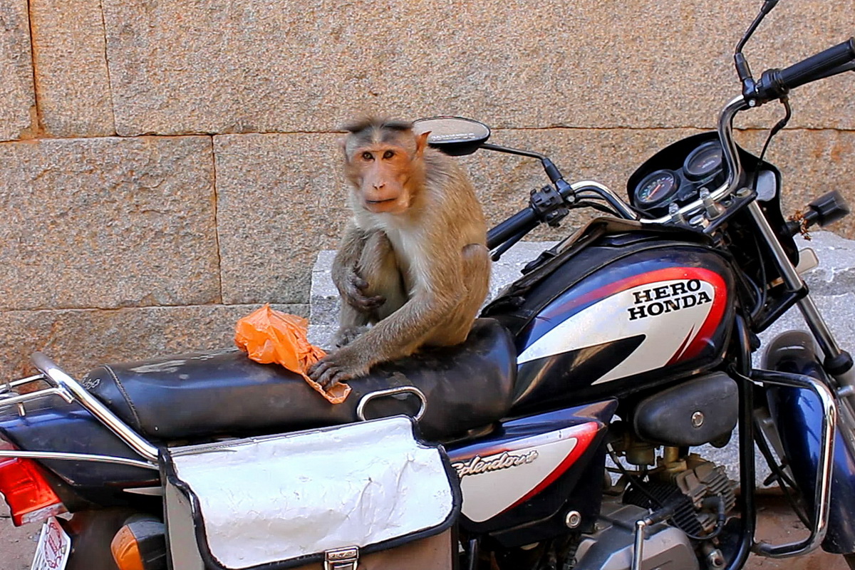 Hampi
