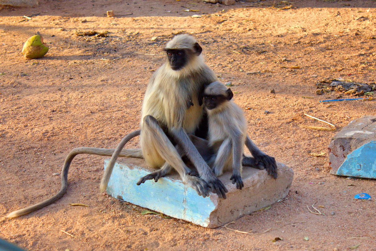 Hampi
