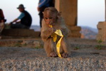 Hampi