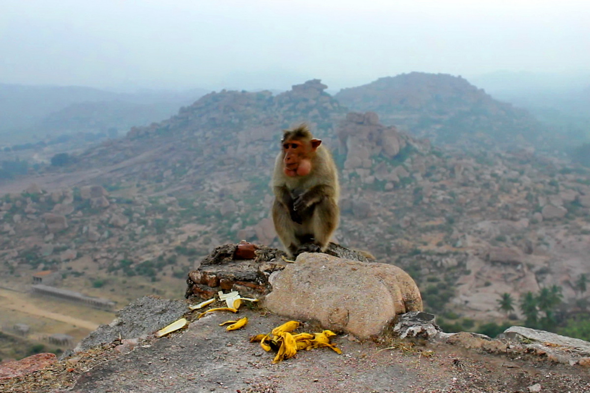 Hampi