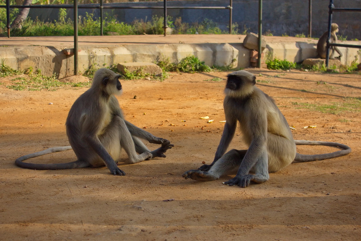 Hampi
