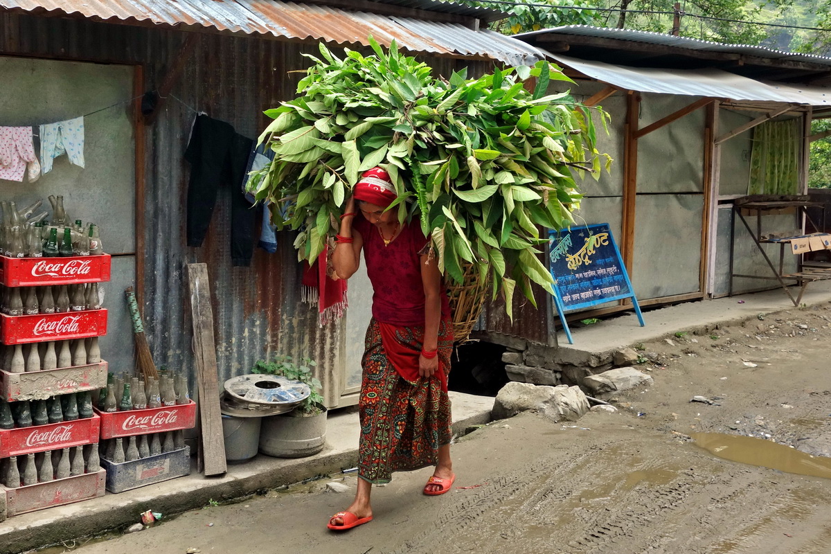 Annapurna