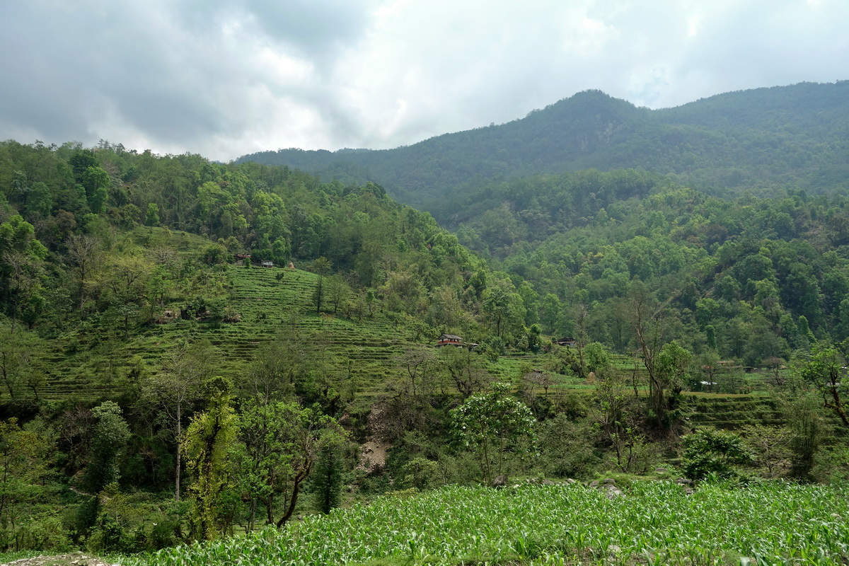 Annapurna