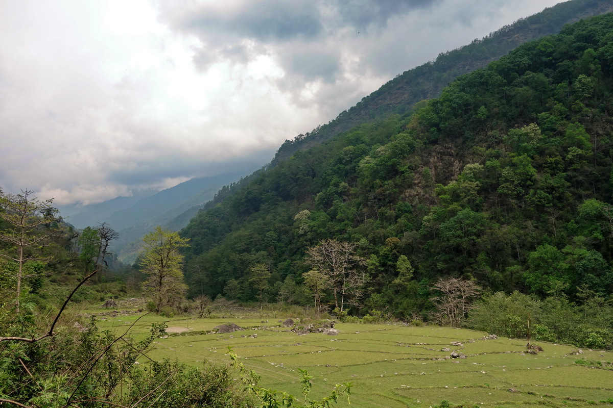 Annapurna