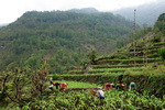 Annapurna