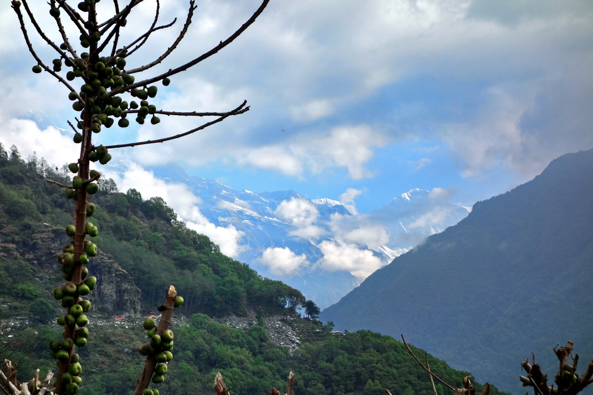 Annapurna