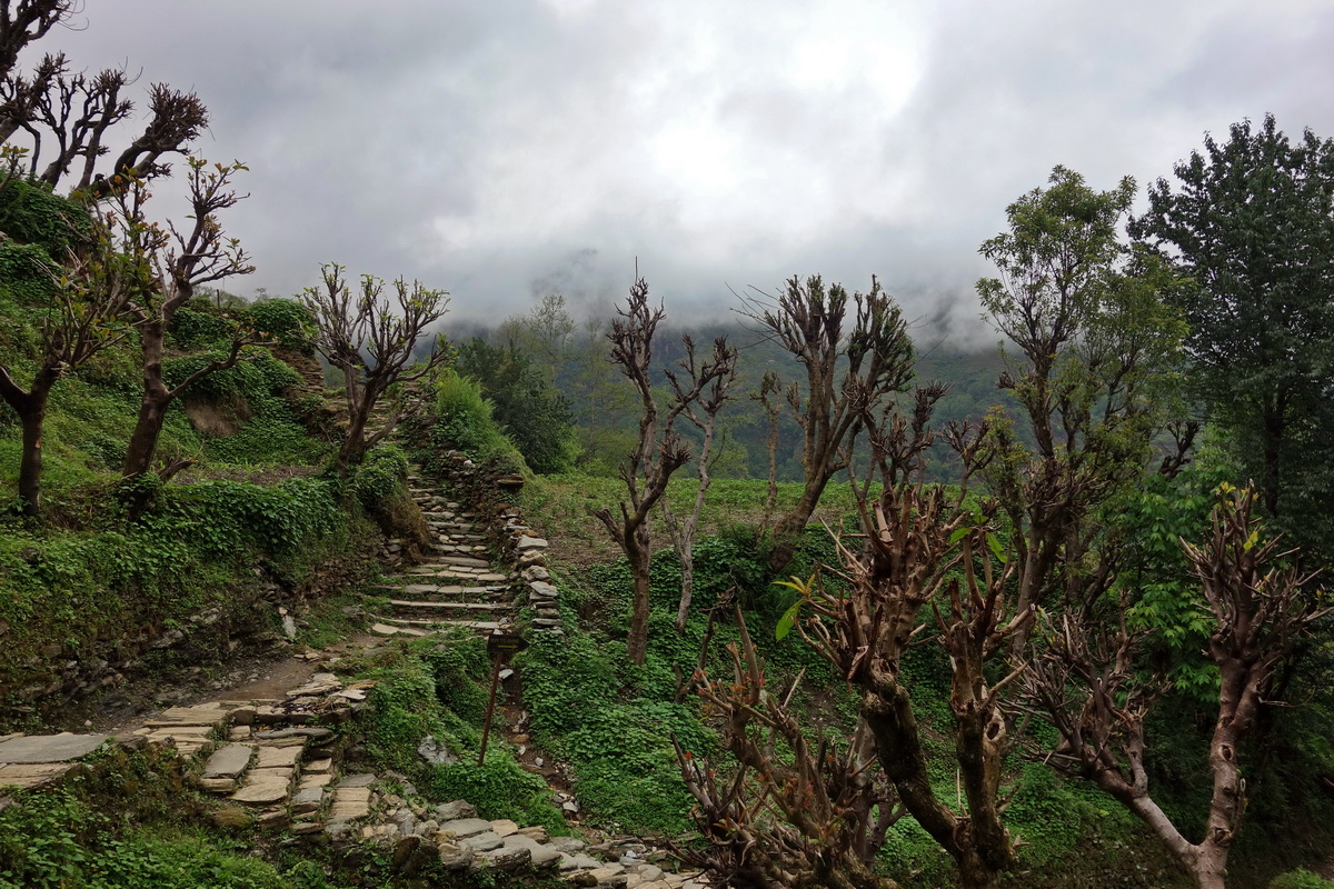 Annapurna