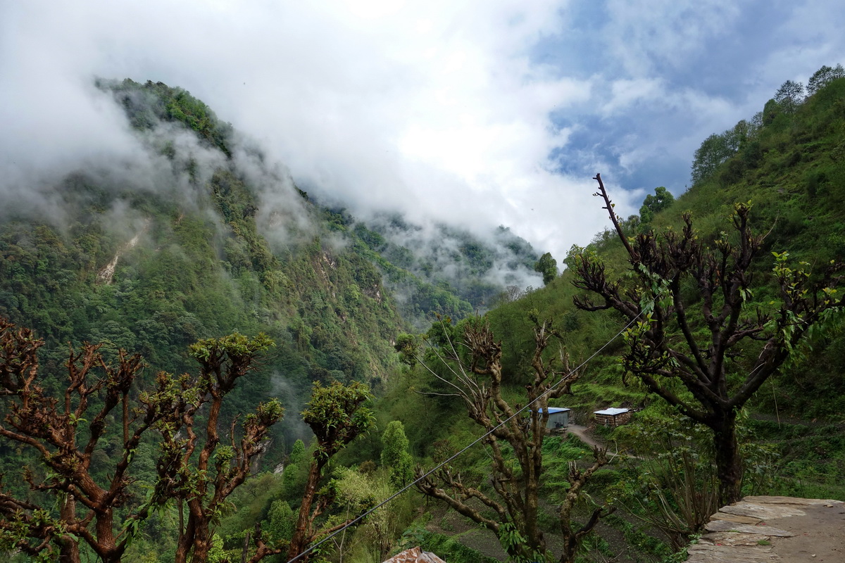 Annapurna