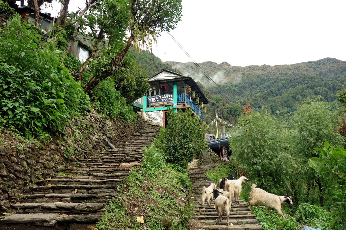Annapurna