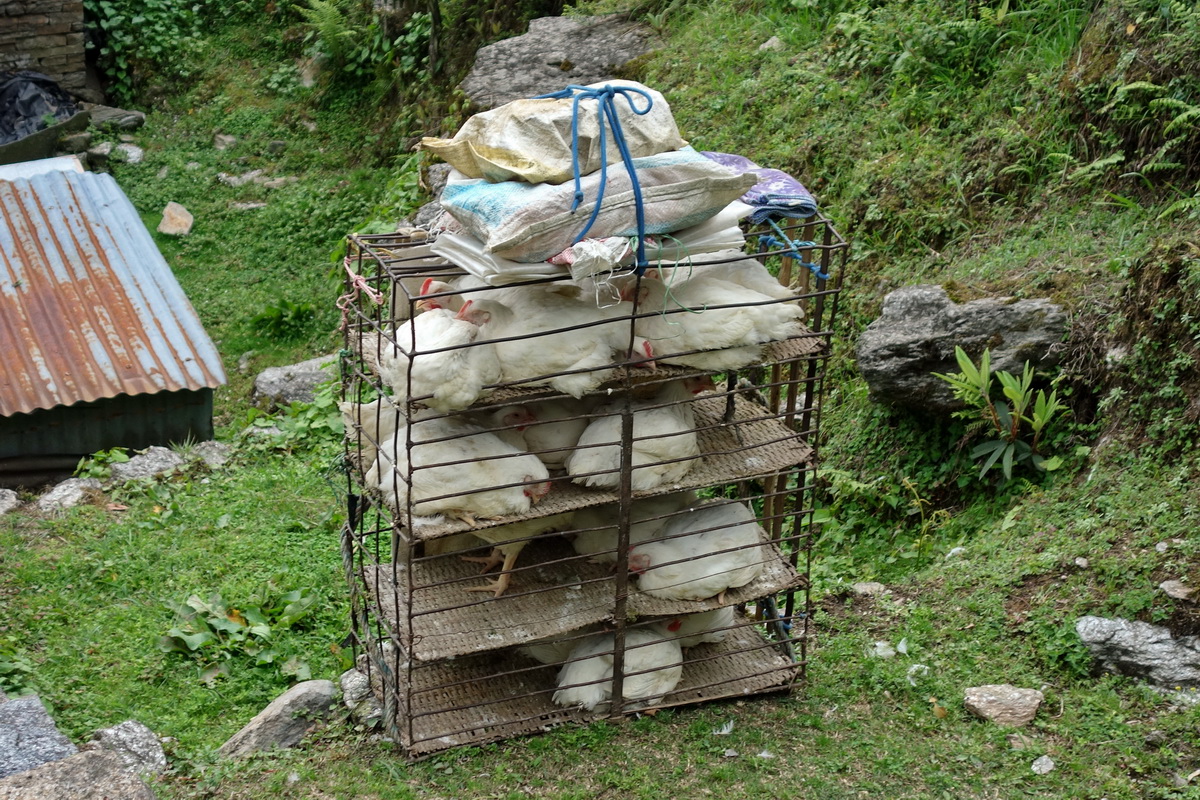 Annapurna