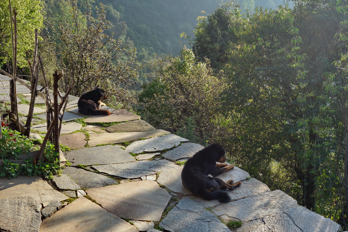 Annapurna
