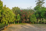 Chitwan