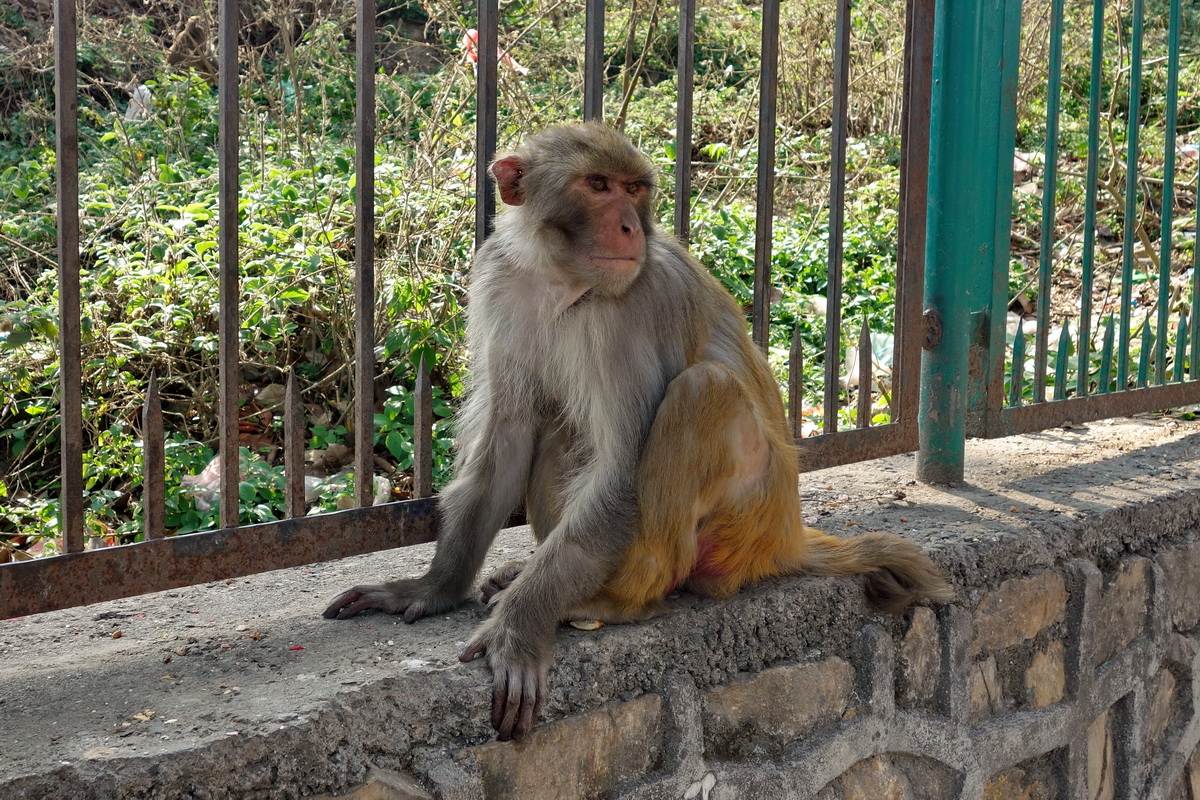 Kathmandu