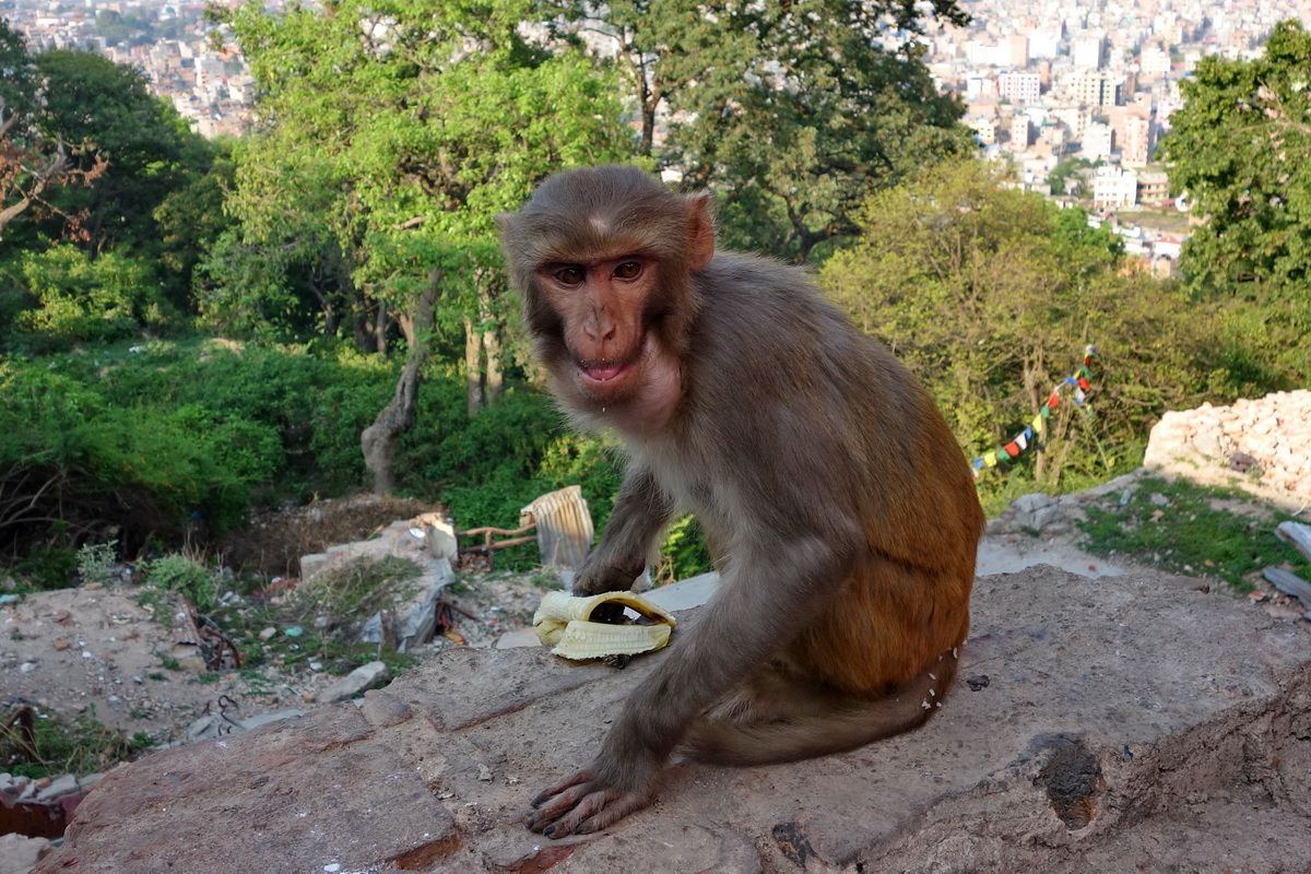 Kathmandu