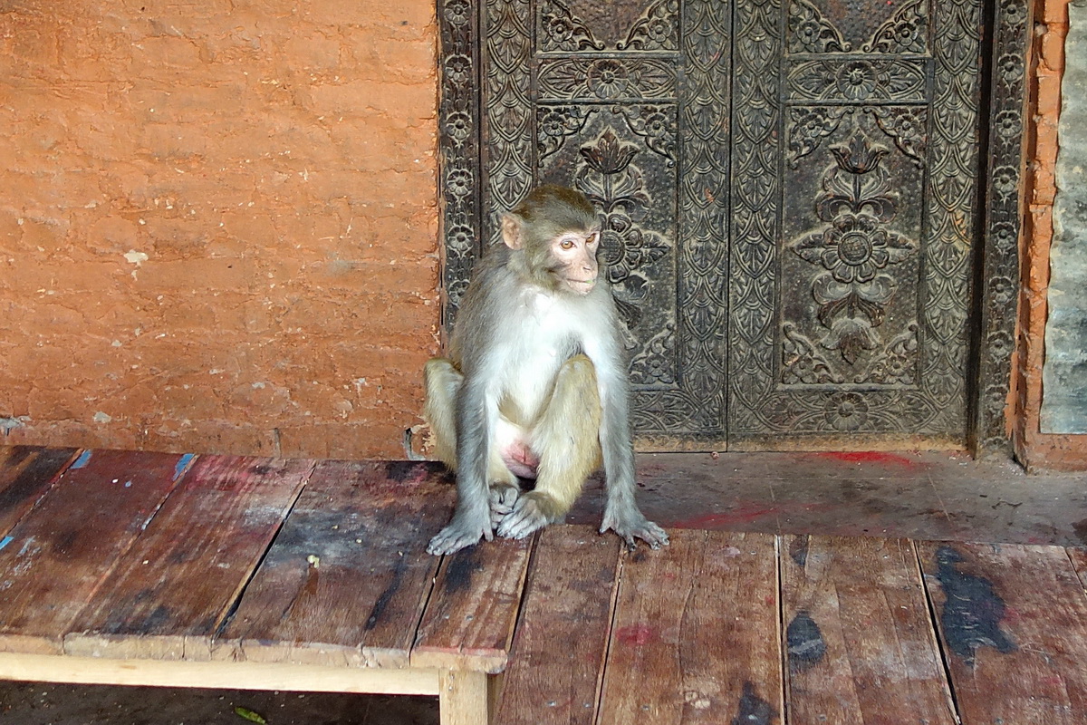 Kathmandu