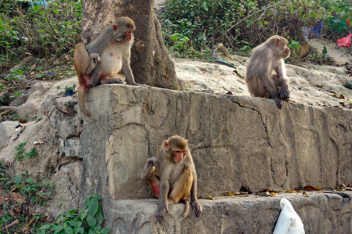 Kathmandu
