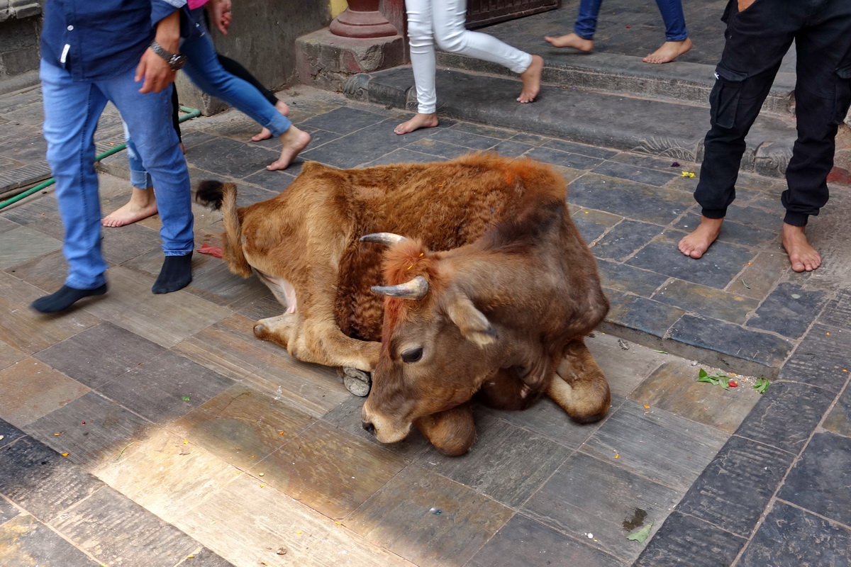 Kathmandu