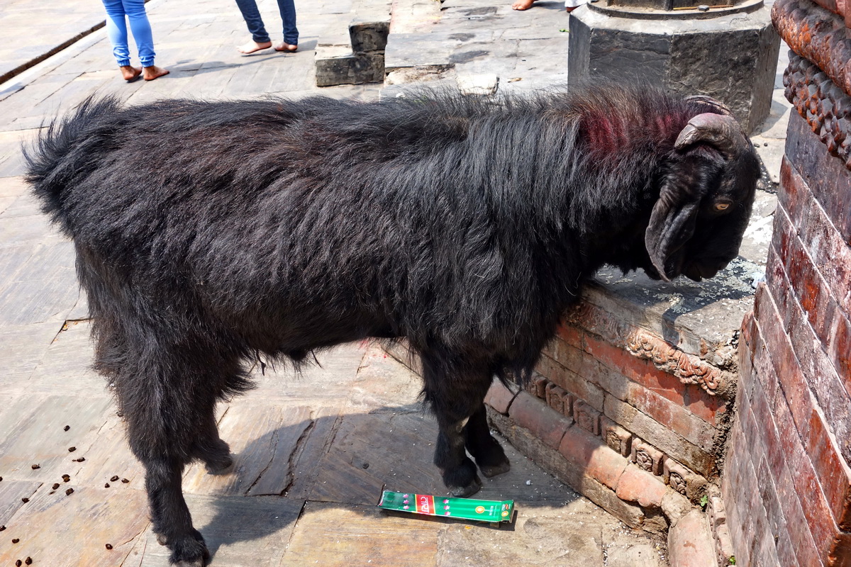 Kathmandu