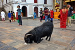 Kathmandu