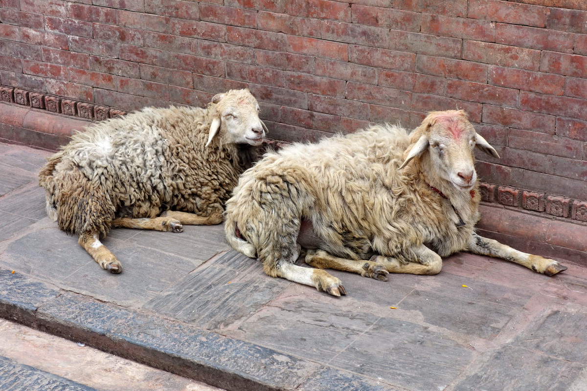 Kathmandu