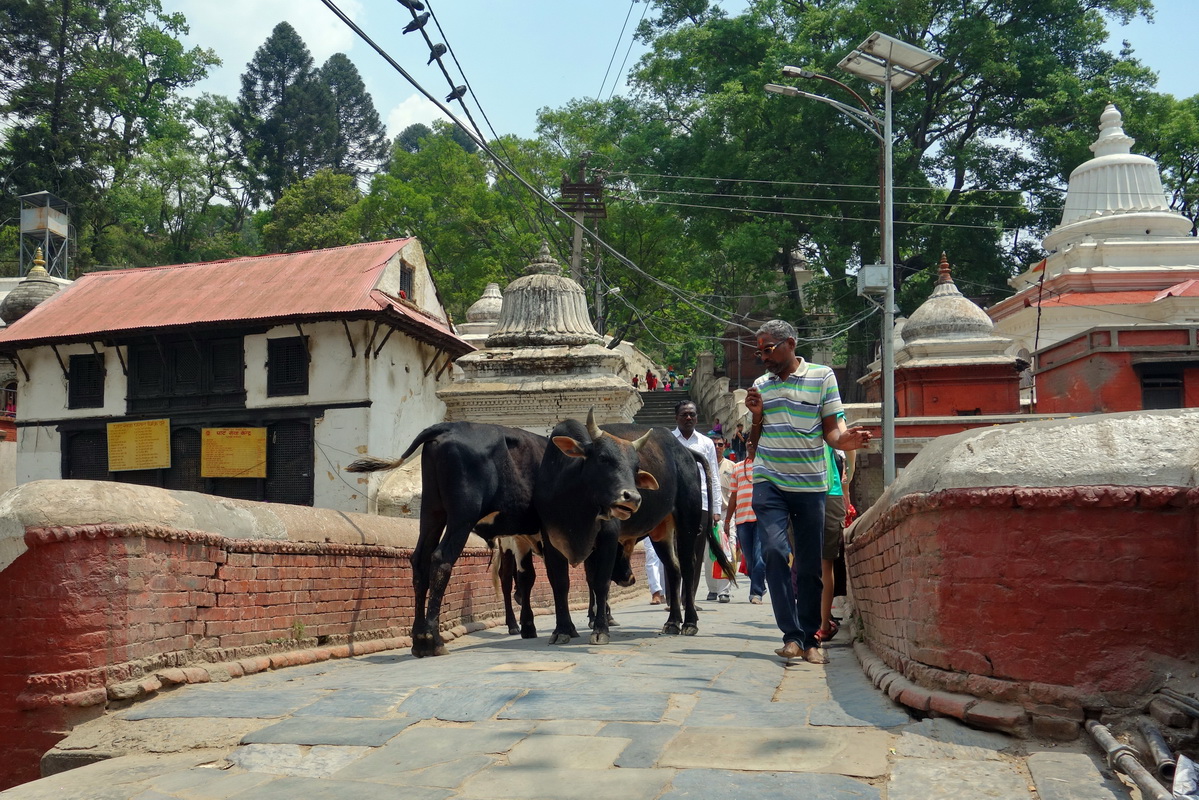 Kathmandu