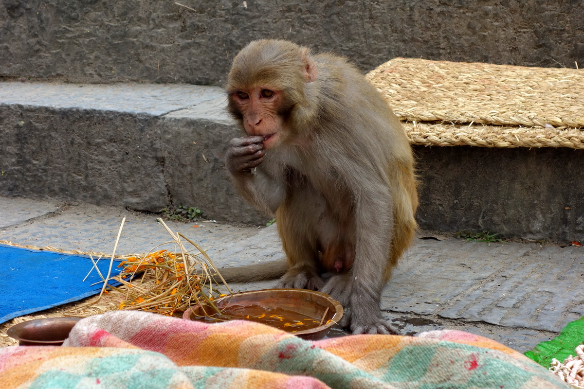 Kathmandu