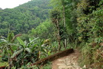 Pokhara