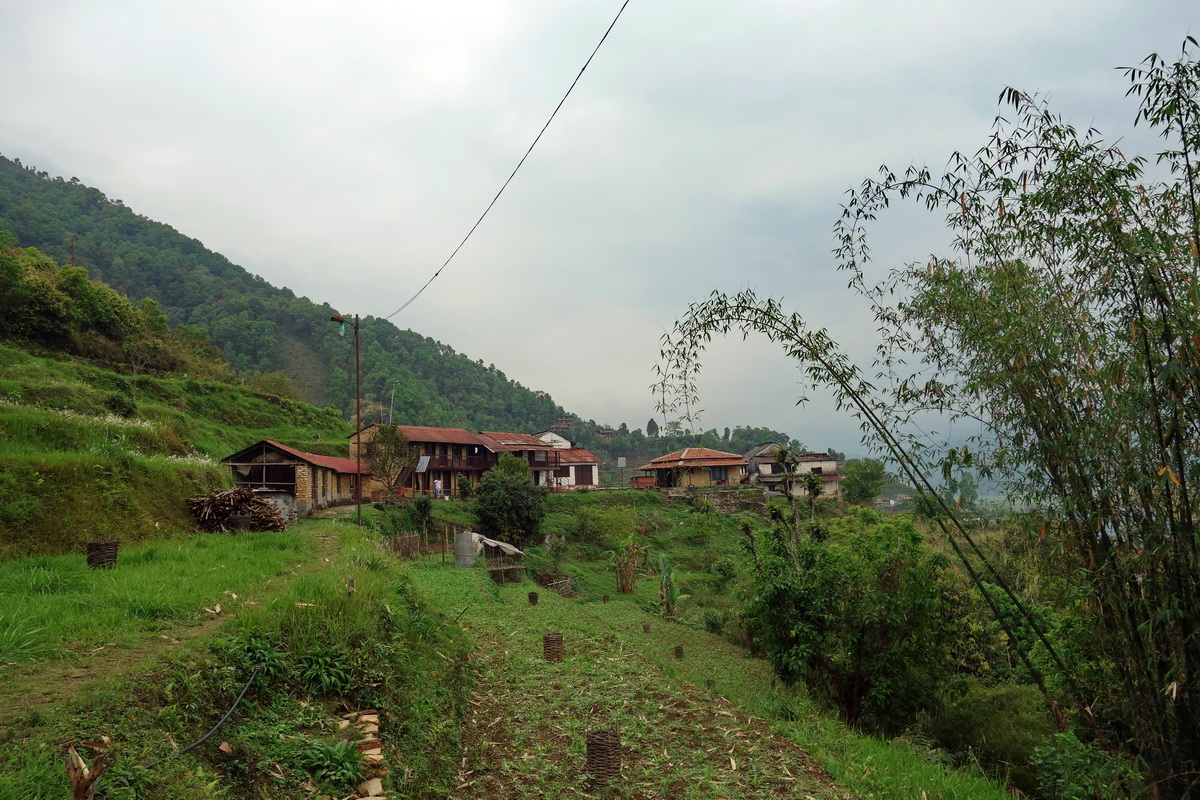 Pokhara