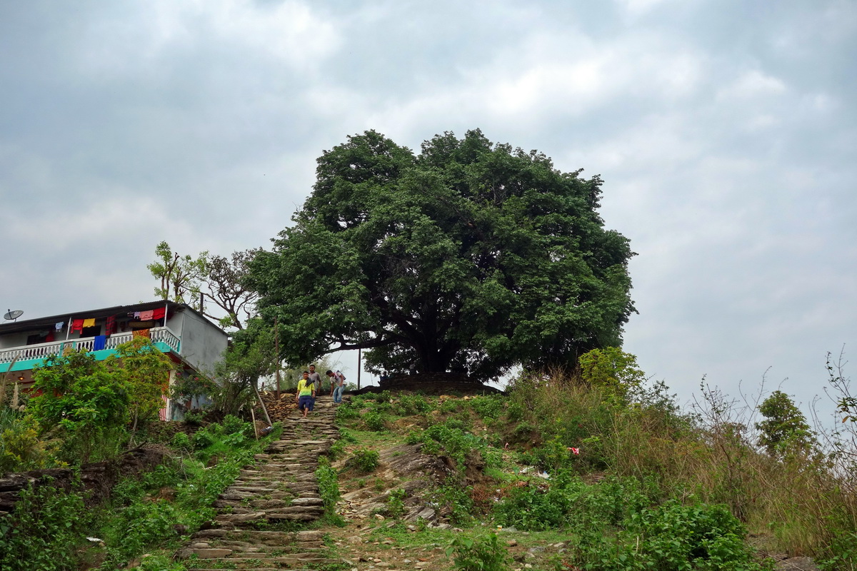 Pokhara