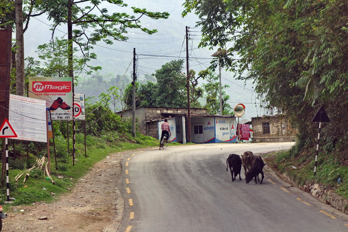 Pokhara