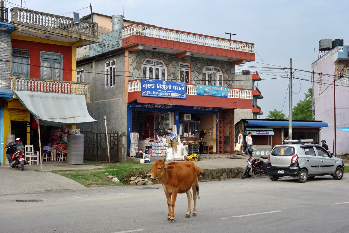 Pokhara